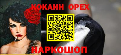 СК Кингисепп