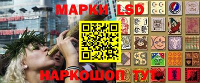 гидра Кимры