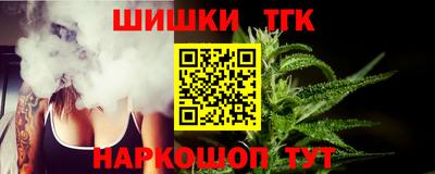 СК Кингисепп