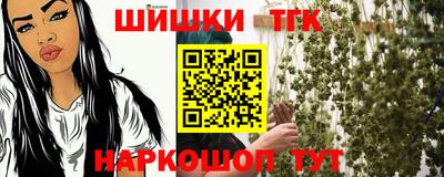 СК Кингисепп