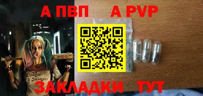 СК Кингисепп